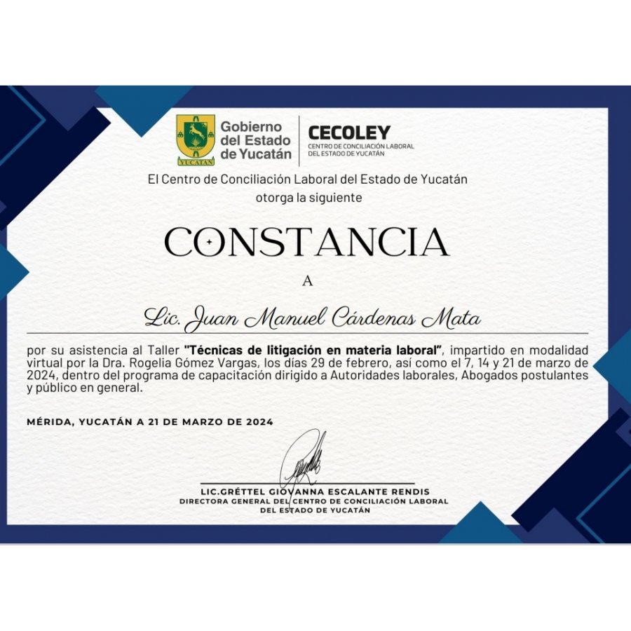 Portafolio ASINJU, Asesores Jurídicos, SC. - Proyecto